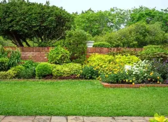 landscaping services Roseboro